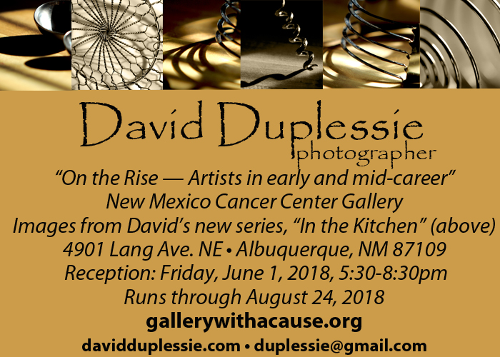 Gallery-with-a-cause-Show-card-Duplessie