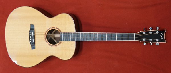 guitar-vista-c-fox-guitar-2890