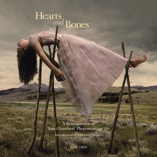 Tom Chambers, Heart and Bones