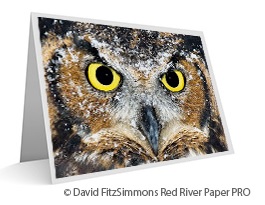the-journal-tim-anderson-red-river-paper-holiday-cards-01