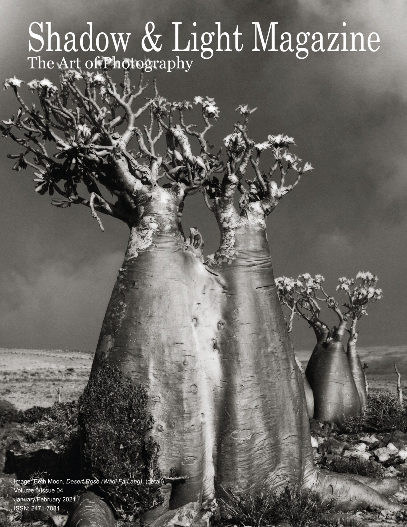 Shadow & Light Magazine. Beth Moon