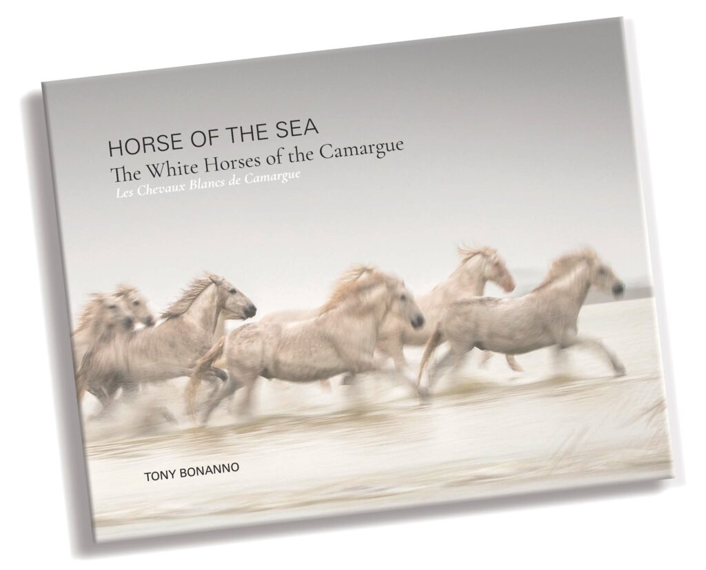 Tony bonanno: Horse of the Sea review