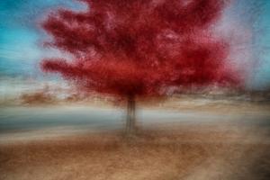 Wilson Hurst