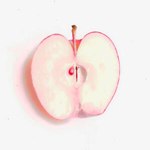 Eve's Apple • ©Diane Wiseman Linscott