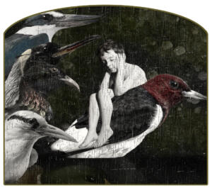 Bosch Redux 8.0 • ©Lori Pond