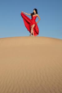 DanBuckoCir2022DesertDancing